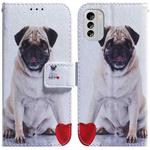 For Nokia G60 Coloured Drawing Flip Leather Phone Case(Pug)