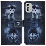 For Nokia G60 Coloured Drawing Flip Leather Phone Case(Wolf and Dog)