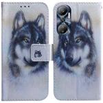 For Infinix Hot 20 Coloured Drawing Flip Leather Phone Case(White Wolf)