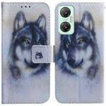 For Infinix Hot 20 5G Coloured Drawing Flip Leather Phone Case(White Wolf)