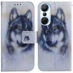 For Infinix Hot 20s Coloured Drawing Flip Leather Phone Case(White Wolf)