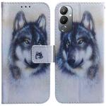 For Tecno Pova 4 Coloured Drawing Flip Leather Phone Case(White Wolf)