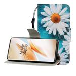 For One Plus 8 Pro Colored Drawing Horizontal Flip Leather Case with Holder & Card Slot & Wallet(Chrysanthemum)