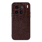 For vivo X90 Pro+ Crocodile Top Layer Cowhide Leather Phone Case(Coffee)