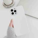 For iPhone 13 Pro Skin Frosted Tempered Glass Phone Case(White)