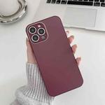 For iPhone 12 Skin Frosted Tempered Glass Phone Case(Red)