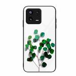 For Xiaomi 13 Colorful Painted Glass Phone Case(Sapling)