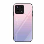 For Xiaomi 13 Colorful Painted Glass Phone Case(Purple Sky)