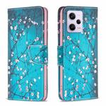 For Xiaomi Redmi Note 12 Pro 5G Global Drawing Pattern Leather Phone Case(Plum Blossom)