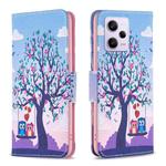 For Xiaomi Redmi Note 12 Pro+ Global Colored Drawing Pattern Leather Phone Case(Owl)