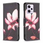 For Xiaomi Redmi Note 12 Pro+ Global Colored Drawing Pattern Leather Phone Case(Lotus)
