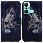 For Infinix Hot 20 Play Coloured Drawing Flip Leather Phone Case(Lion)