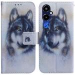 For Tecno Pova 4 Pro Coloured Drawing Flip Leather Phone Case(White Wolf)