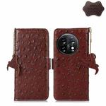 For OnePlus 11 5G Ostrich Pattern Genuine Leather RFID Phone Case(Coffee)