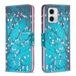 For Motorola Moto G73 5G Colored Drawing Pattern Leather Phone Case(Plum Blossom)