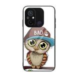 For Xiaomi Redmi 12C Colorful Painted Glass Phone Case(Owl)
