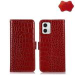 For Motorola Moto G73 5G Crocodile Top Layer Cowhide Leather Phone Case(Red)