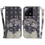 For Xiaomi 13 Pro 5G 3D Colored Horizontal Flip Leather Phone Case(Hug Cat)