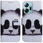 For Infinix Zero 20 / X6821 Coloured Drawing Flip Leather Phone Case(Panda)