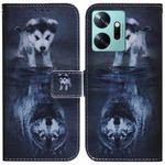 For Infinix Zero 20 / X6821 Coloured Drawing Flip Leather Phone Case(Wolf and Dog)