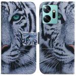 For Infinix Zero 20 / X6821 Coloured Drawing Flip Leather Phone Case(Tiger)