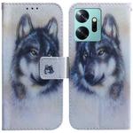 For Infinix Zero 20 / X6821 Coloured Drawing Flip Leather Phone Case(White Wolf)