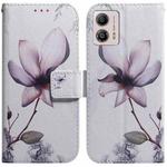 For Motorola Moto G13 / G23 / G53 Coloured Drawing Flip Leather Phone Case(Magnolia)