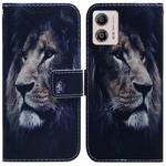 For Motorola Moto G13 / G23 / G53 Coloured Drawing Flip Leather Phone Case(Lion)