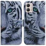 For Motorola Moto G13 / G23 / G53 Coloured Drawing Flip Leather Phone Case(Tiger)