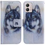 For Motorola Moto G13 / G23 / G53 Coloured Drawing Flip Leather Phone Case(White Wolf)