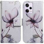 For Xiaomi Redmi Note 12 Pro 5G Coloured Drawing Flip Leather Phone Case(Magnolia)