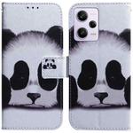 For Xiaomi Redmi Note 12 Pro 5G Coloured Drawing Flip Leather Phone Case(Panda)