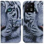 For Xiaomi 13 5G Coloured Drawing Flip Leather Phone Case(Tiger)