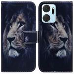 For Honor X7A Coloured Drawing Flip Leather Phone Case(Lion)