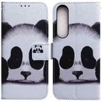 For Sony Xperia 1 IV 2023 Coloured Drawing Flip Leather Phone Case(Panda)