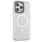 For iPhone 13 Pro Skin Feel Semi-transparent Frosted MagSafe Magnetic Phone Case(White)