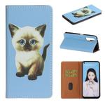 For Huawei nova 6 3D Painting Horizontal Flip Leather Case with Holder & Card Slot & Lanyard(Cat)
