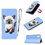 For Xiaomi Mi 9 SE Pure Color Painting Horizontal Flip Leather Case with Card Slots & Holder & Lanyard(Cat)