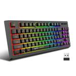 HXSJ L100 87 Keys RGB Backlit Film 2.4G Wireless Keyboard(Black)