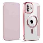 For iPhone 11 MagSafe Magnetic RFID Anti-theft Leather Phone Case(Pink)
