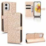 For Motorola Moto G73 5G Honeycomb Dot Texture Leather Phone Case(Gold)