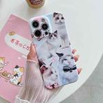 For iPhone 14 Pro Max PC Phone Case(White Cat)