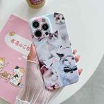 For iPhone 14 Plus PC Phone Case(White Cat)