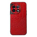 For OnePlus 11 Crocodile Texture Genuine Leather Phone Case(Red)