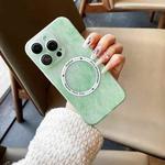 For iPhone 13 Pro Max Silk Ink Pattern MagSafe PC Phone Case(Green)