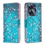 For Realme C55 Colored Drawing Pattern Leather Phone Case(Plum Blossom)