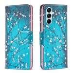 For Samsung Galaxy M14 5G Colored Drawing Pattern Leather Phone Case(Plum Blossom)