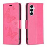 For Samsung Galaxy M14 5G Two Butterflies Embossing Leather Phone Case(Rose Red)