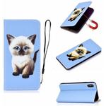 For iPhone XS 3D Painting Horizontal Flip Leather Case with Holder & Card Slot & Wallet & Lanyard(Cat)