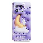 For Xiaomi 13 Pro Stereo Vision Pattern PC Phone Case(Moon Rabbit)